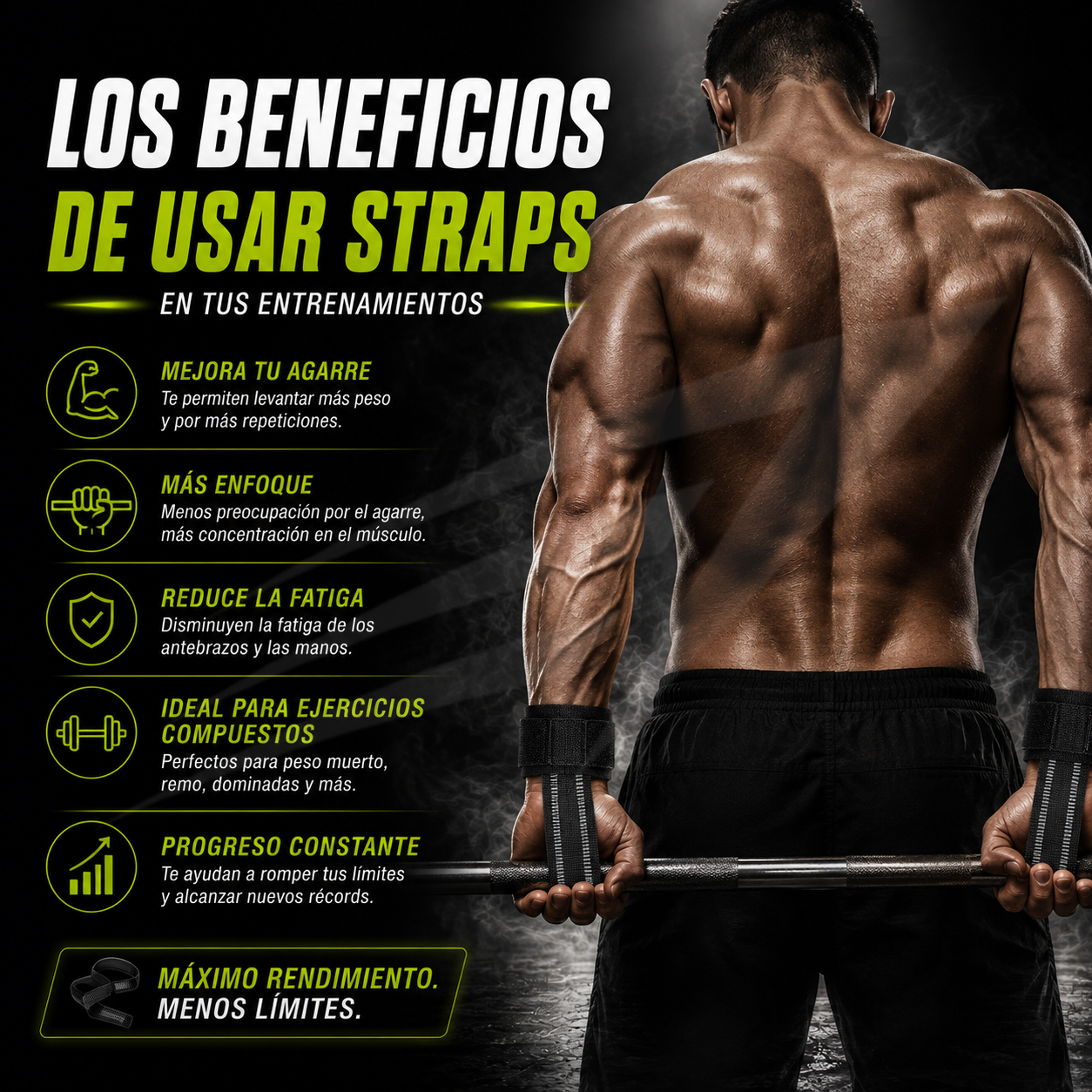 Straps Correas Gym